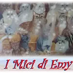 I Mici Di Emy アパート カターニア