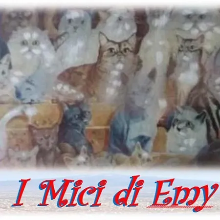 I Mici Di Emy Διαμέρισμα Κατάνια